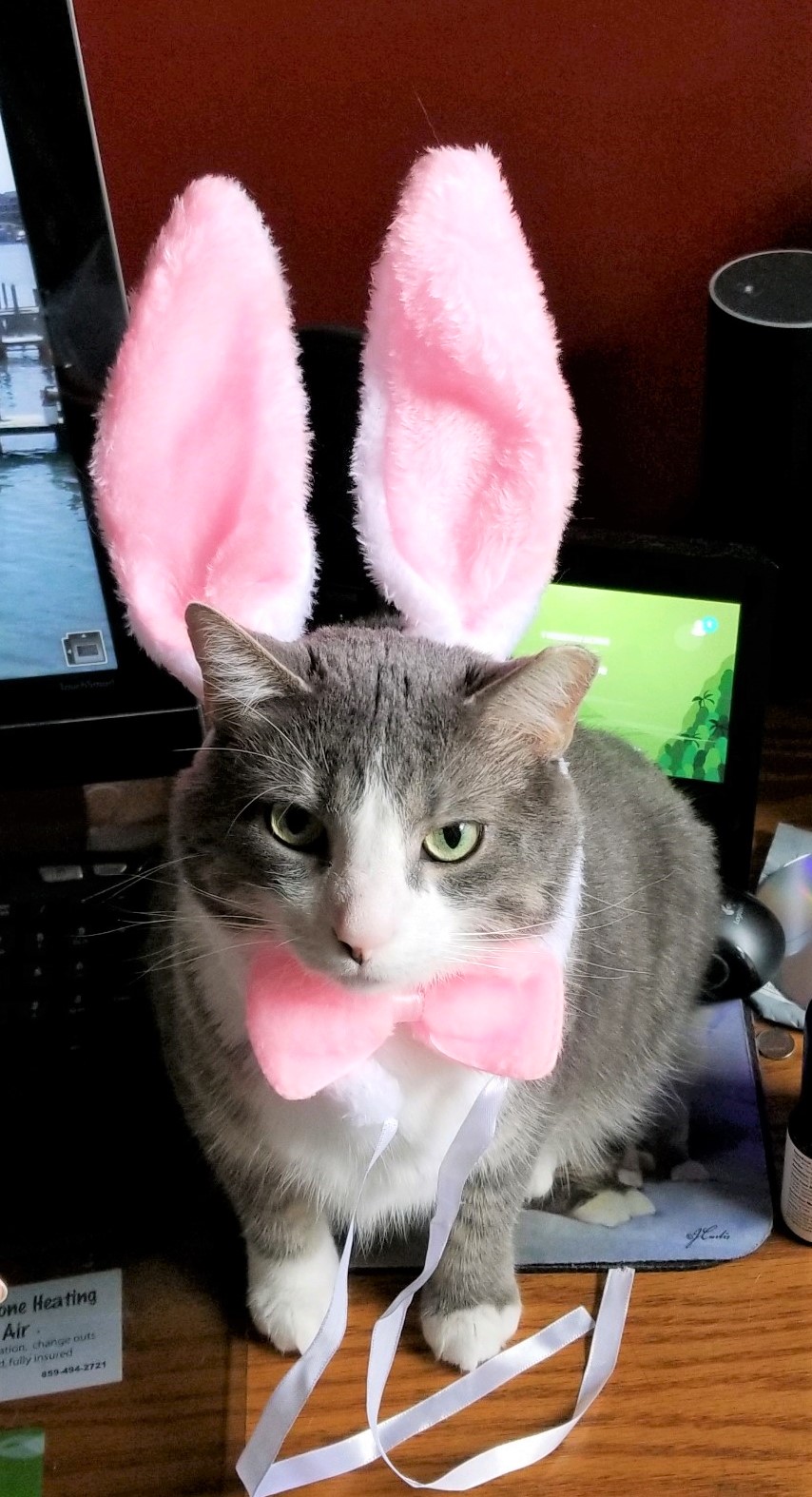 Easter-Huck.jpg